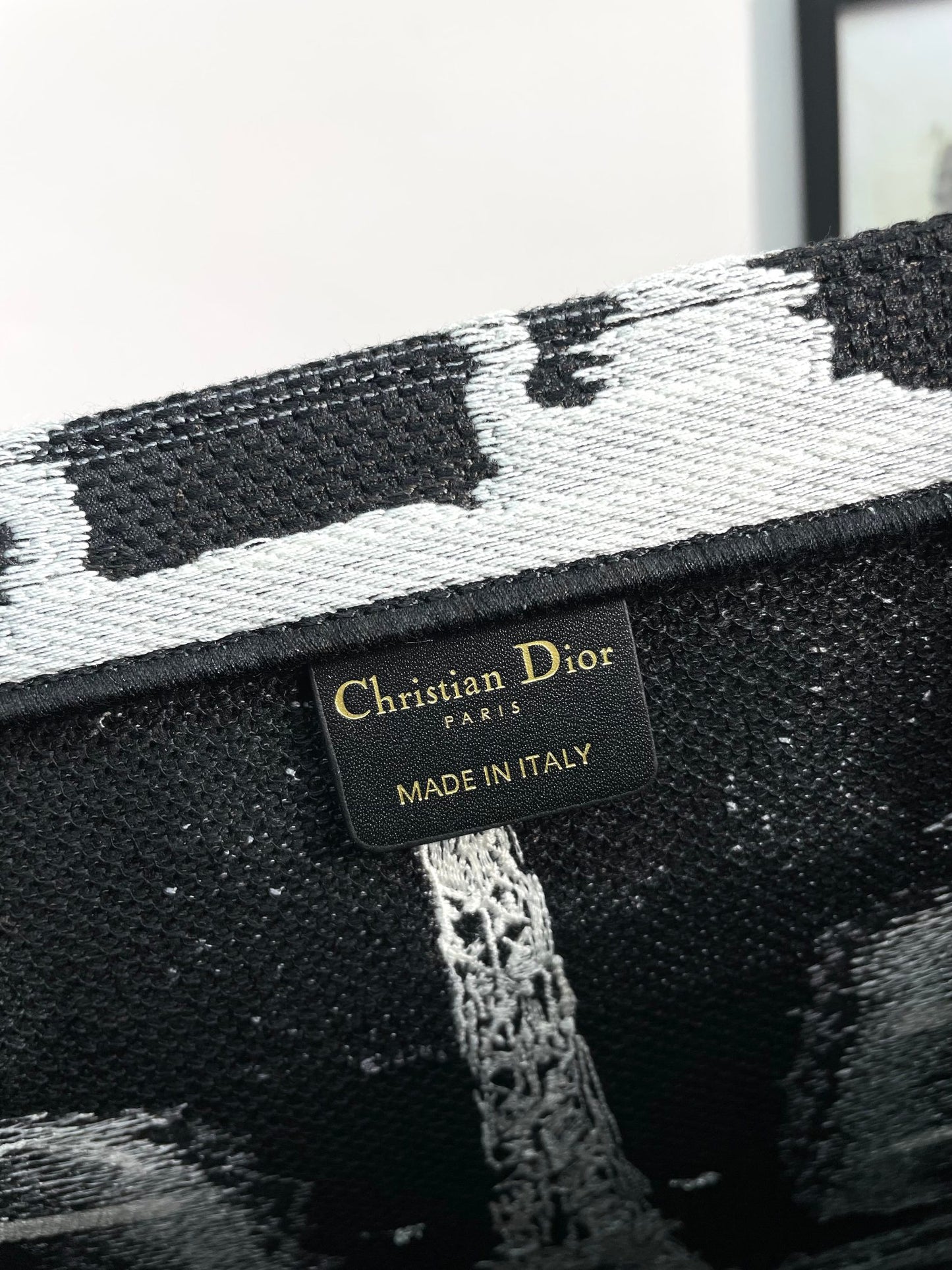 Christian Dior Medium Book Tote Plan de Paris Embroidery Bag