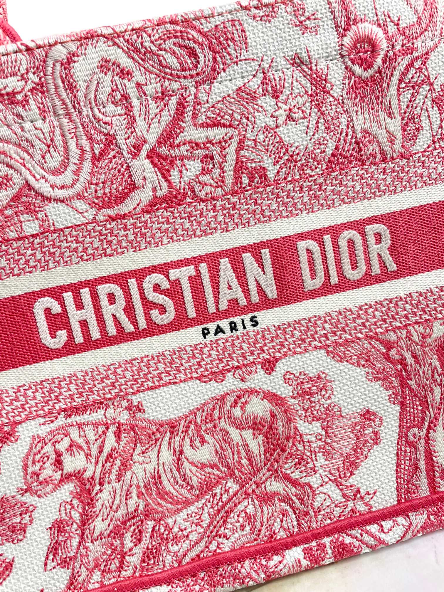 Dior Elegant Red Toile Embroidered Canvas Top Handle Tote Bag for Women