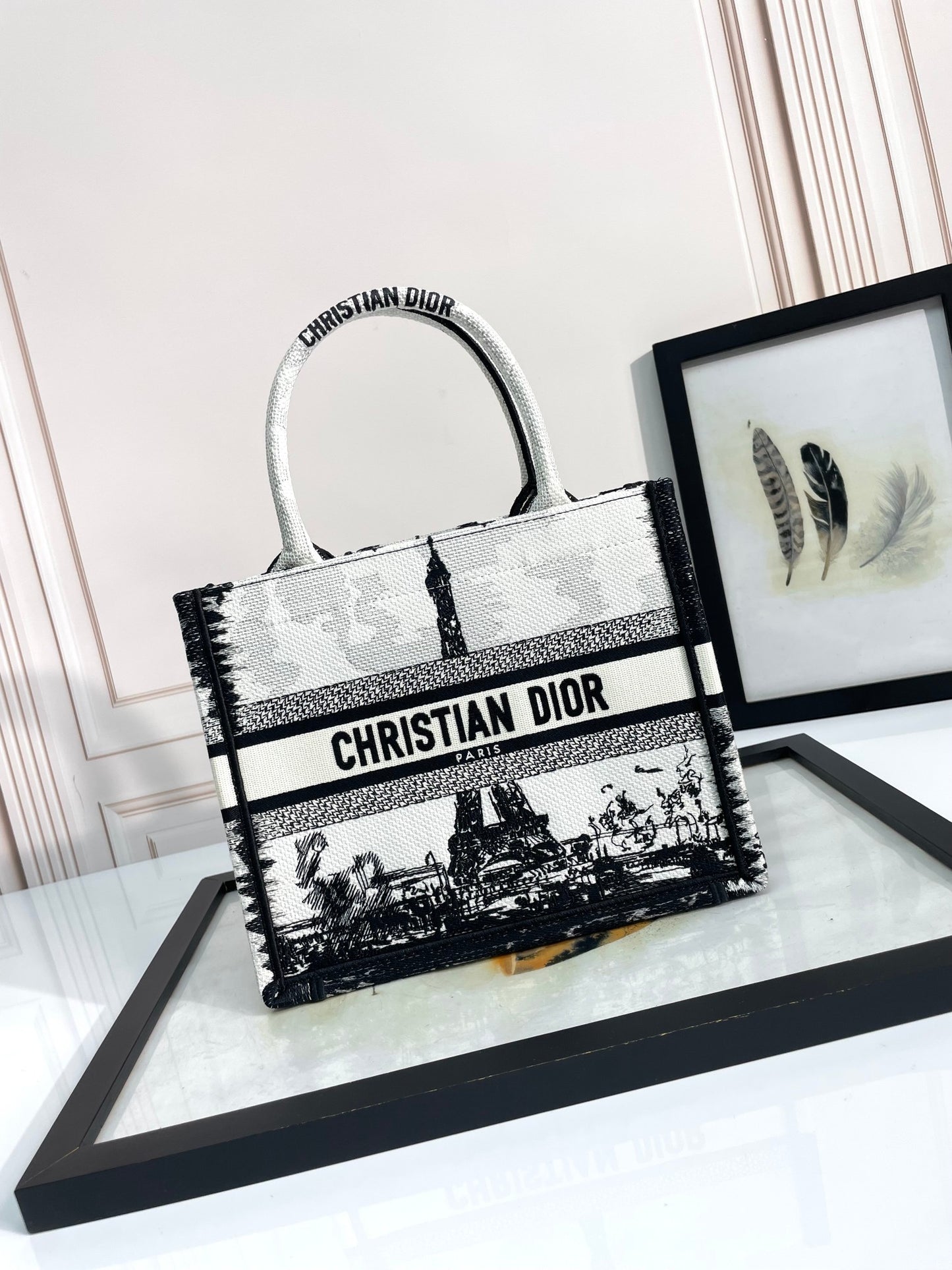 Christian Dior Plan de Paris Book Tote - Black and White Embroidered Canvas