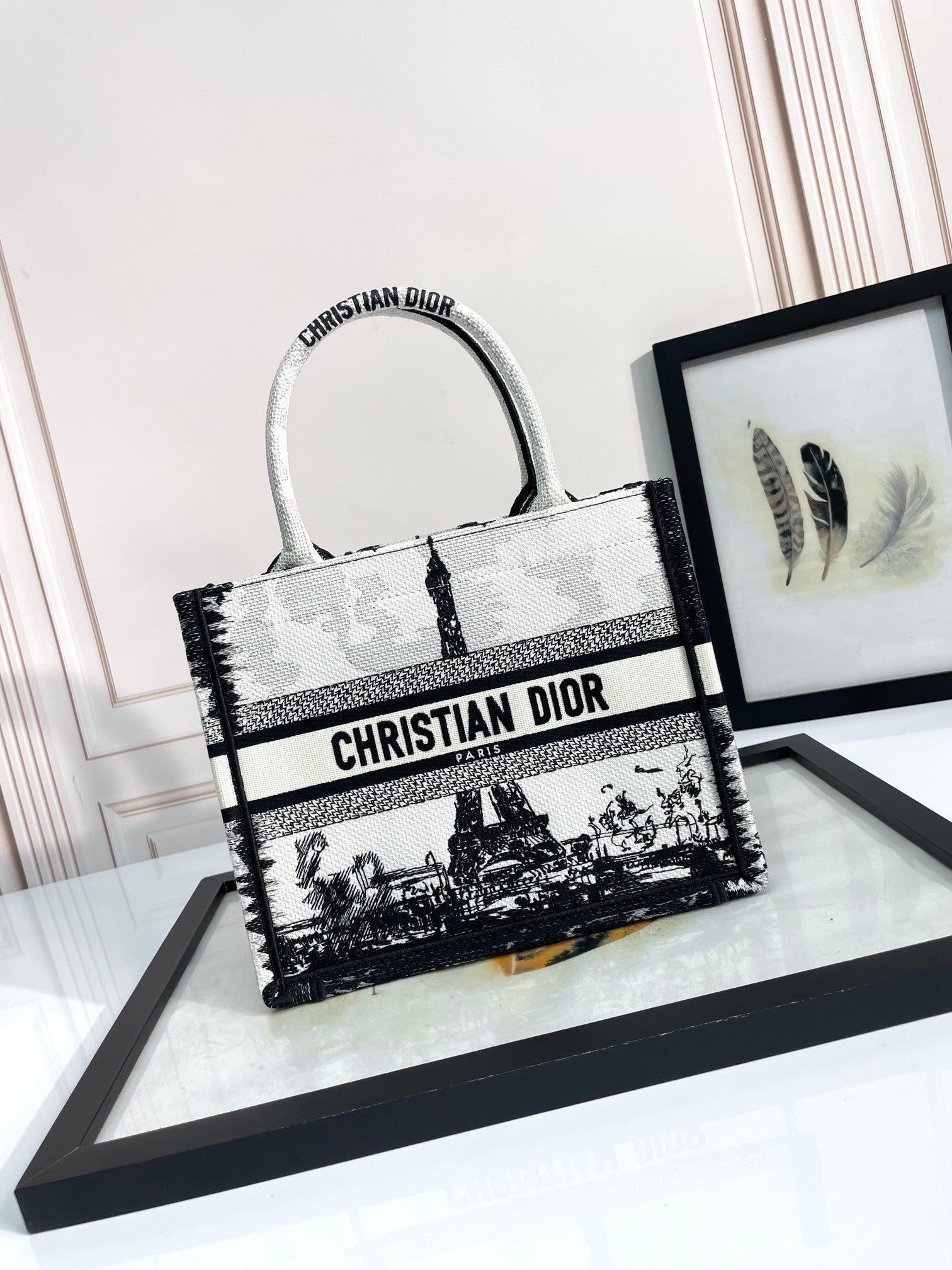 Dior Black and White Paris Eiffel Tower Print Embroidered Canvas Tote Bag