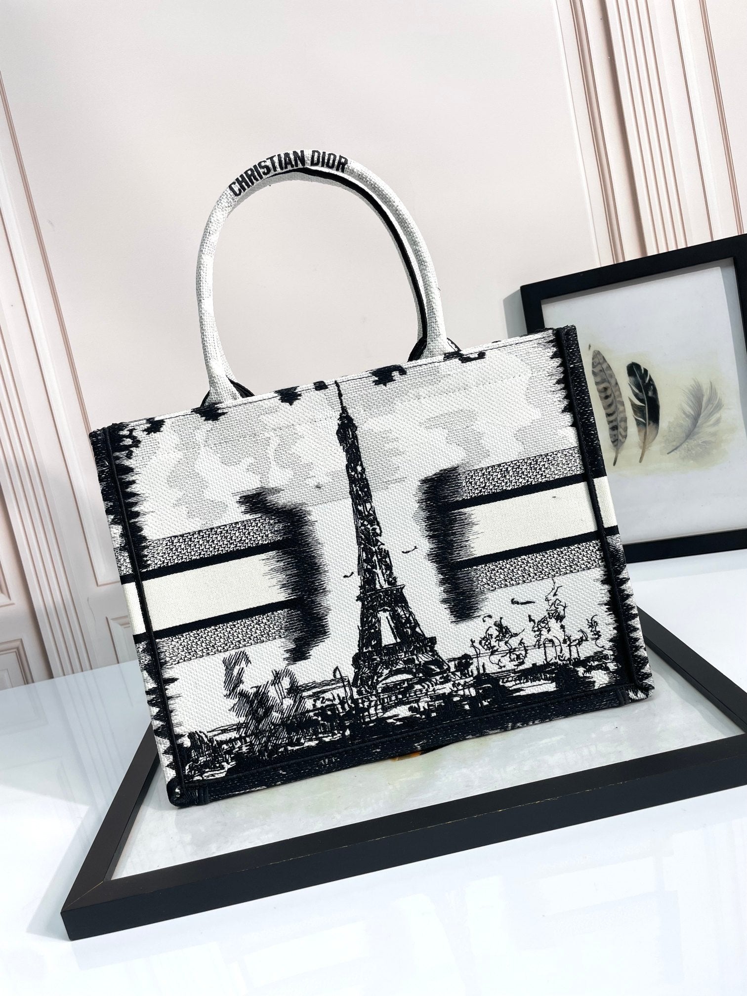 Christian Dior Medium Book Tote Bag with Black and White Plan de Paris Embroidery