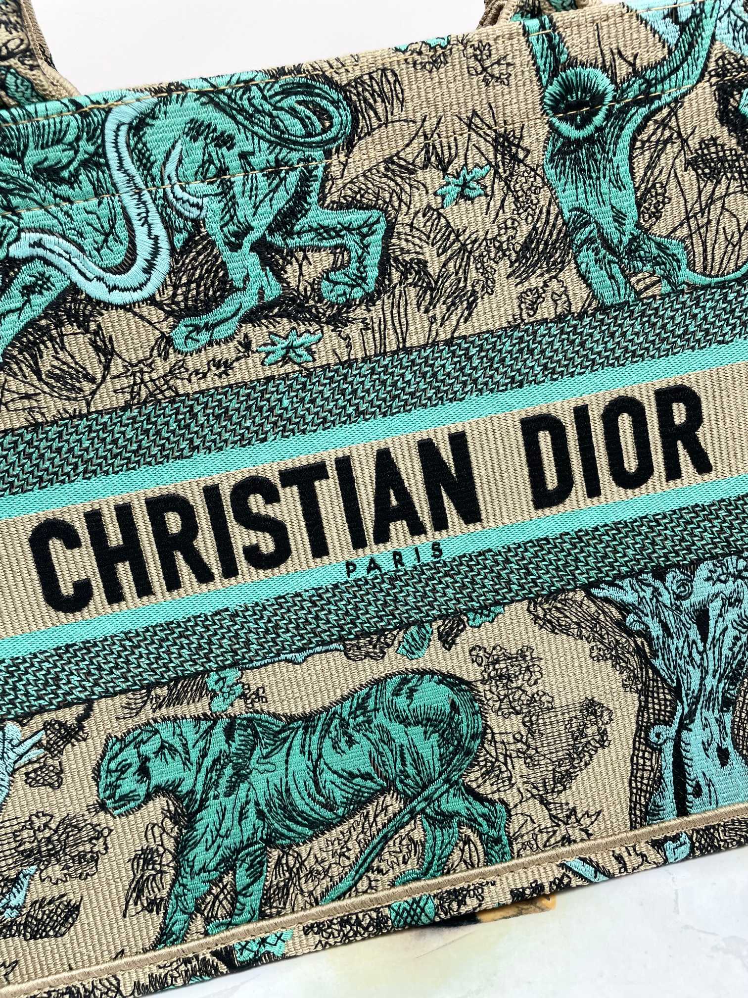Christian Dior Book Tote Bag Green Toile de Jouy Sauvage Embroidered Canvas
