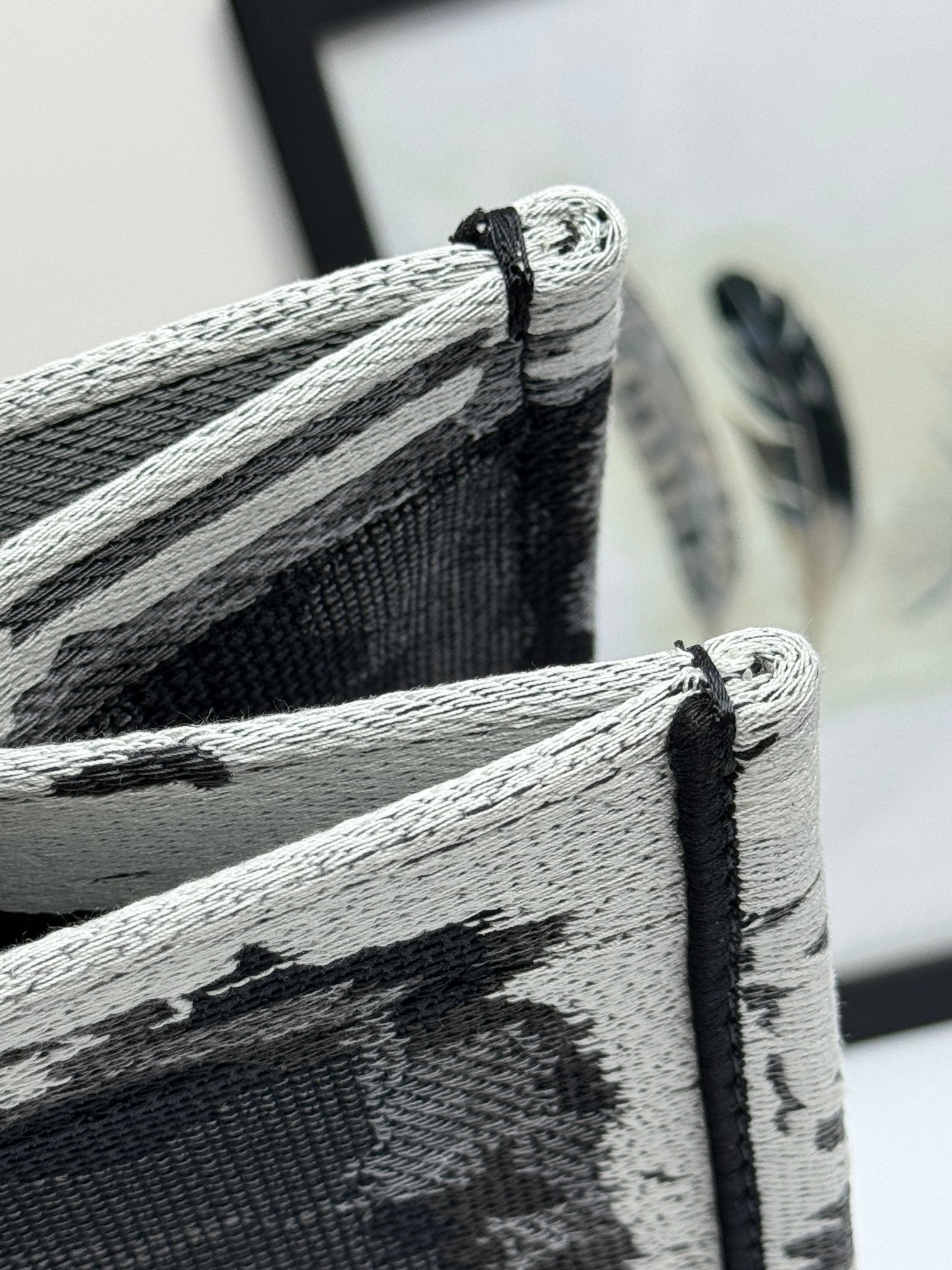Dior Monochrome Statue of Liberty Graphic Canvas Tote Handbag